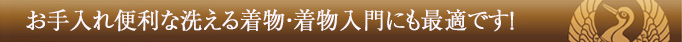 お手入れ便利な洗える着物・着物入門にも最適です!