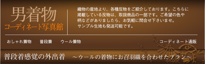 普段着感覚の外出着 ～ウール着物のコーディネート～