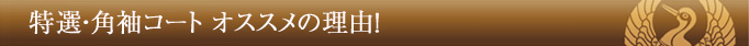 角袖コート_オススメの理由